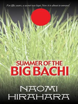 Book cover for Summer of the Big Bachi