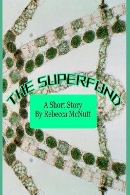 Book cover for The Superfund