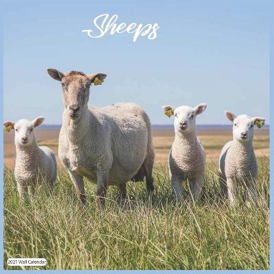 Book cover for Sheeps 2021 Wall Calendar