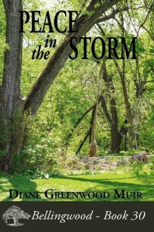 Cover of Peace in the Storm