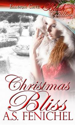 Book cover for Christmas Bliss