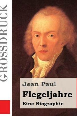 Cover of Flegeljahre (Grossdruck)