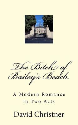 Book cover for The Bitch of Bailey's Beach
