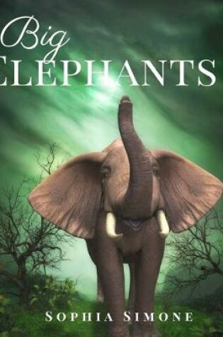 Cover of Big Elephants