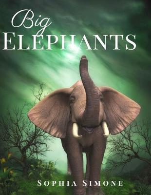 Book cover for Big Elephants