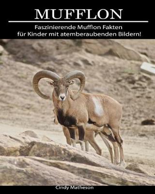 Book cover for Mufflon