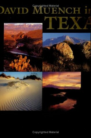 Cover of David Muench in Texas