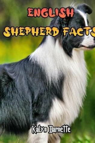 Cover of English Shepherd Facts