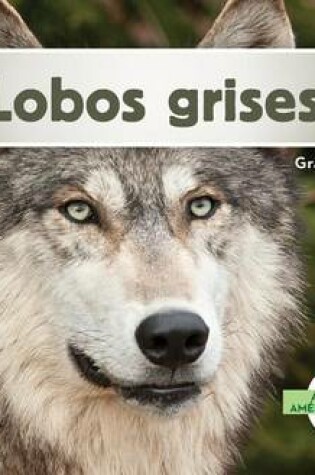 Cover of Lobos Grises (Gray Wolves)