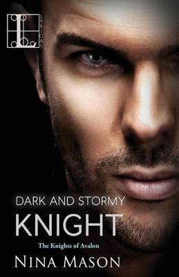 Book cover for Dark And Stormy Knight