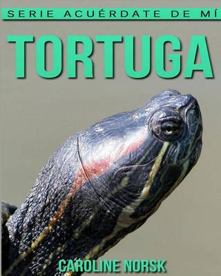 Book cover for Tortuga