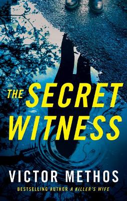 Book cover for The Secret Witness