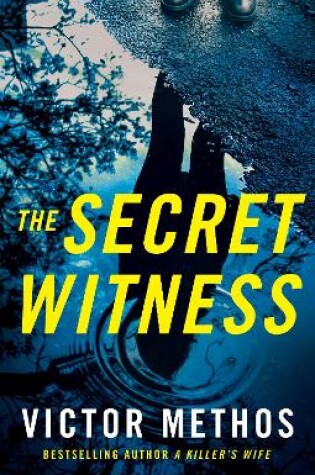 Cover of The Secret Witness