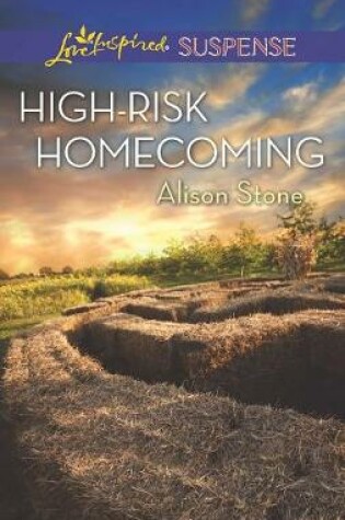 Cover of High-Risk Homecoming