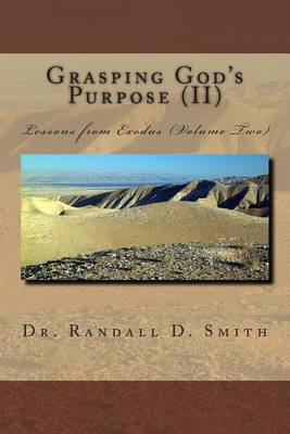Book cover for Grasping God's Purpose (II)
