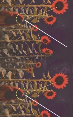 Cover of The Red Sunflowers