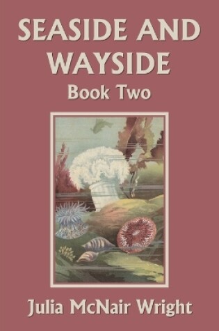 Cover of Seaside and Wayside, Book Two (Yesterday's Classics)