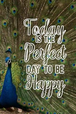 Book cover for Today is the perfect day to be happy