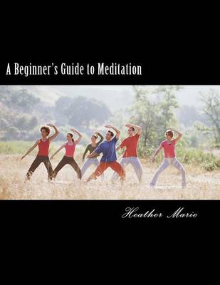 Book cover for A Beginner's Guide to Meditation