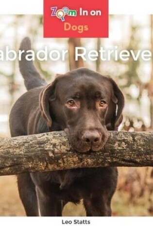 Cover of Labrador Retrievers