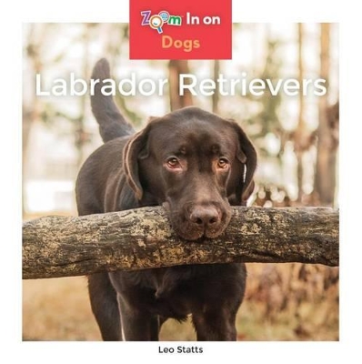 Cover of Labrador Retrievers