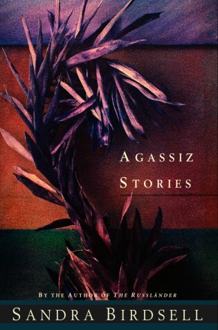 Cover of Agassiz Stories