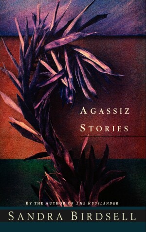 Book cover for Agassiz Stories