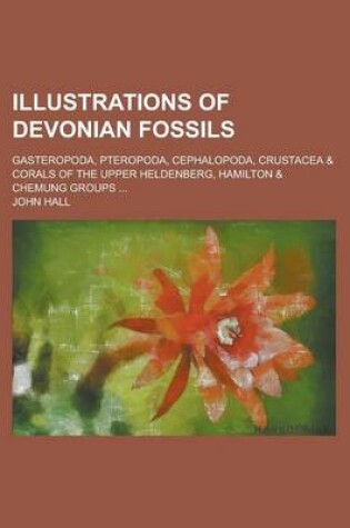 Cover of Illustrations of Devonian Fossils; Gasteropoda, Pteropoda, Cephalopoda, Crustacea & Corals of the Upper Heldenberg, Hamilton & Chemung Groups ...