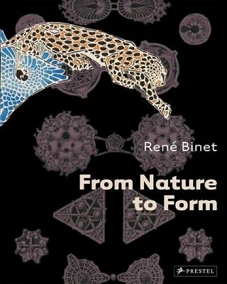 Book cover for From Nature to Form: Rene Binet