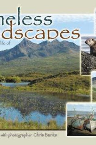 Cover of Timeless Landscapes