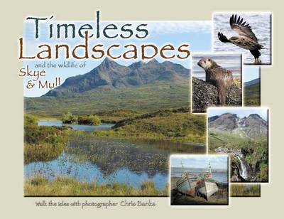 Book cover for Timeless Landscapes