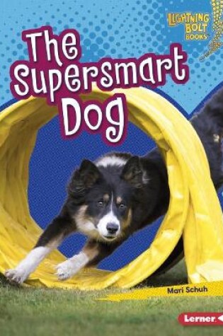 Cover of The Supersmart Dog