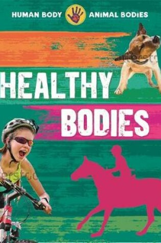 Cover of Healthy Bodies