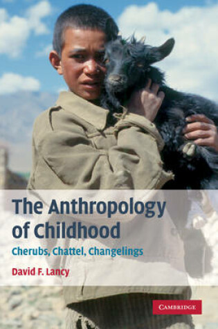 Cover of The Anthropology of Childhood