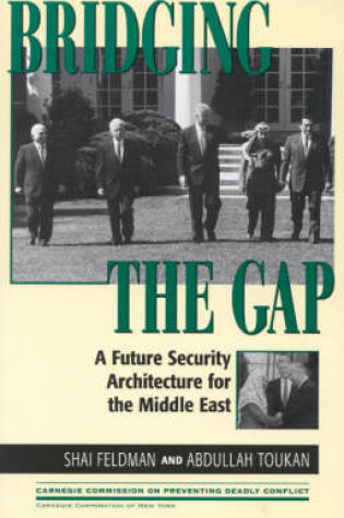 Cover of Bridging the Gap