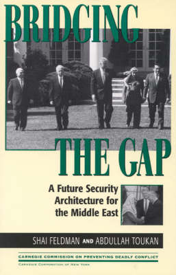 Book cover for Bridging the Gap