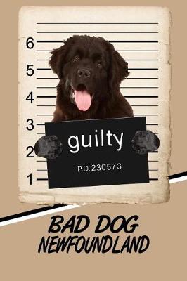 Book cover for Bad Dog Newfoundland