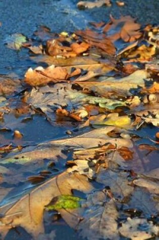 Cover of Autumn Leaves on a Pond Journal