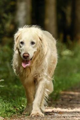 Book cover for Golden Retriever Dog on a walk in the Woods Journal