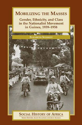 Book cover for Mobilizing the Masses