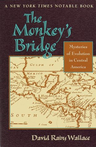 Book cover for The Monkey's Bridge