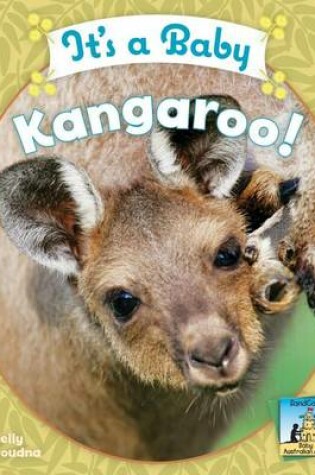 Cover of It's a Baby Kangaroo!