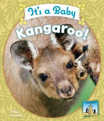 Book cover for It's a Baby Kangaroo!