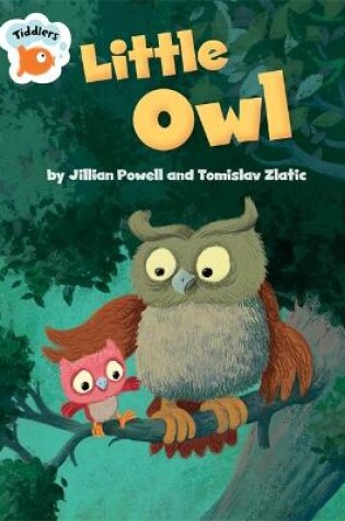 Cover of Little Owl