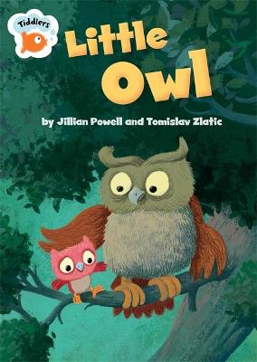 Book cover for Tiddlers: Little Owl