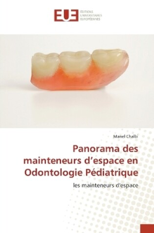 Cover of Panorama des mainteneurs d'espace en Odontologie Pédiatrique