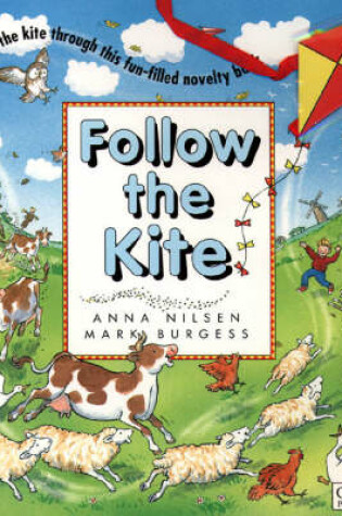 Cover of Follow the Kite