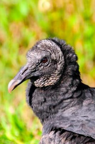 Cover of American Black Vulture (Coragyps Atratus) Portrait Journal