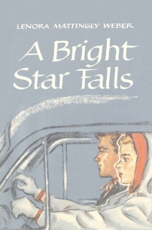 Cover of Bright Star Falls