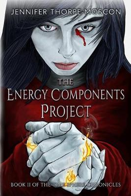 Cover of The Energy Components Project